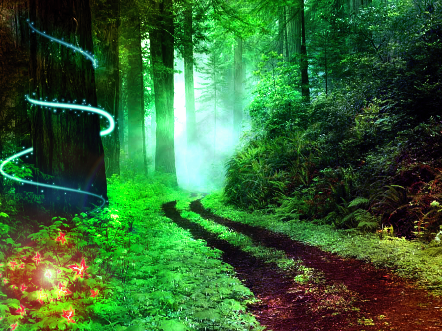 Black magic and witchcraft