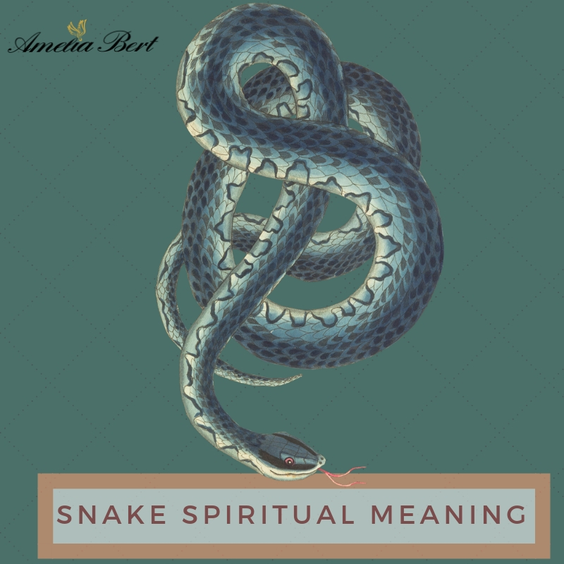 download snake in dream meaning for free