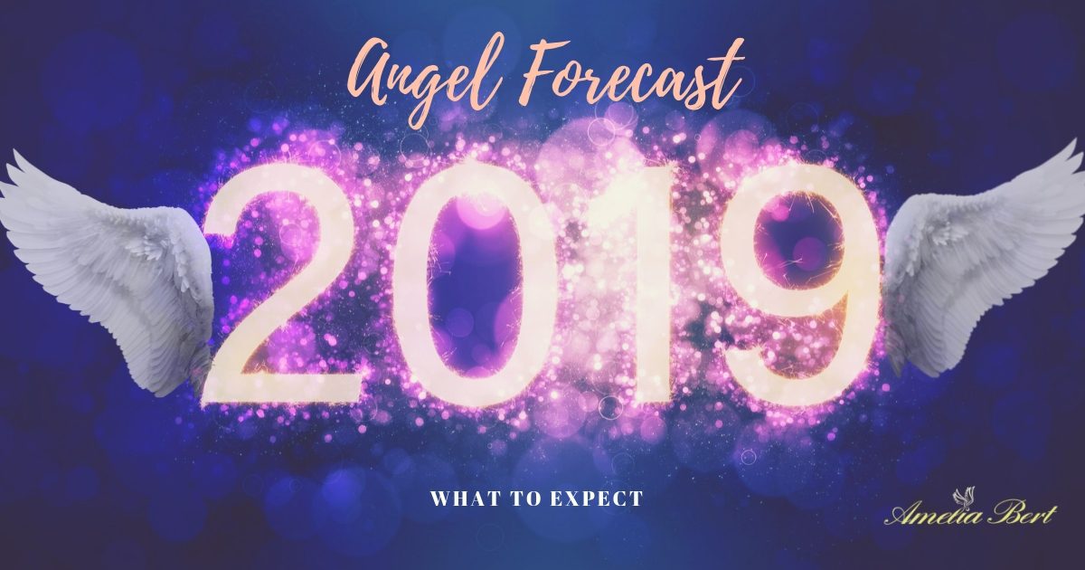 What to expect in 2019