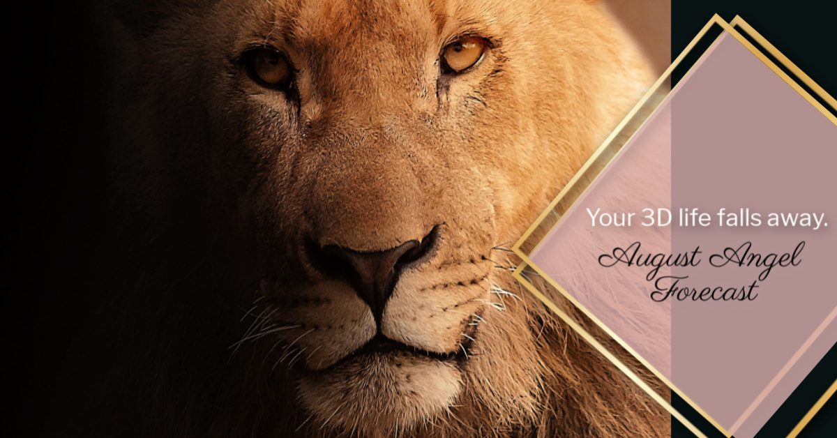 Your 3D life falls away – August energy forecast